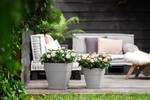 loft urban saucer square 28cm living concrete